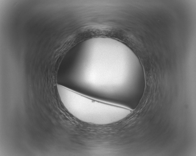 X0000062131061200512090945