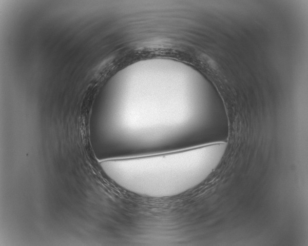 X0000062131062200512090945