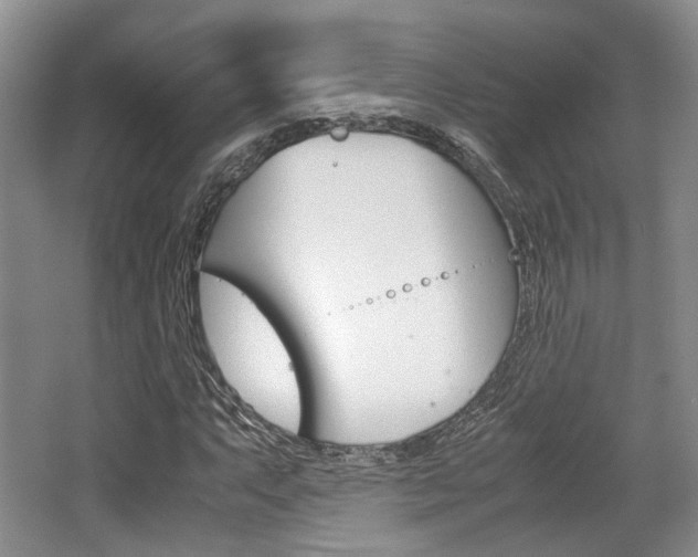 X0000062131063200512090945
