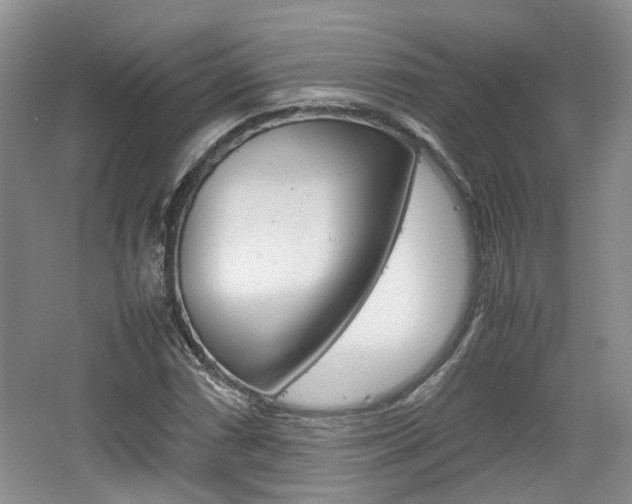 X0000062131066200512090945