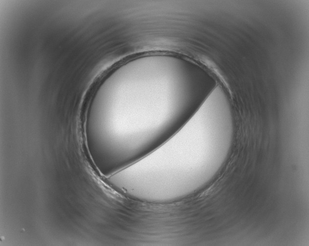 X0000062131072200512090945