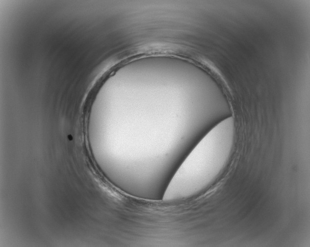 X0000062131075200512090945