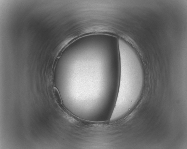 X0000062131081200512090944