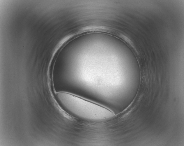 X0000062131082200512090944