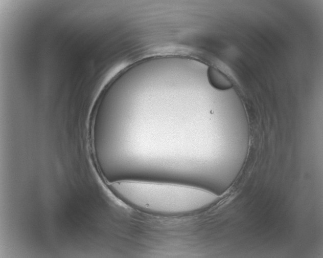 X0000062131087200512090944