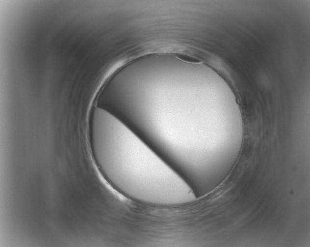 X0000062131095200512090944