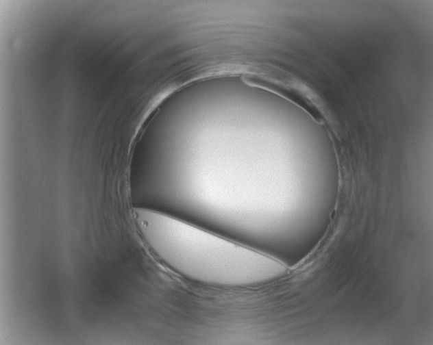 X0000062131097200512090944