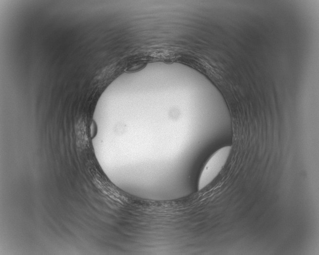 X0000062131106200512090943