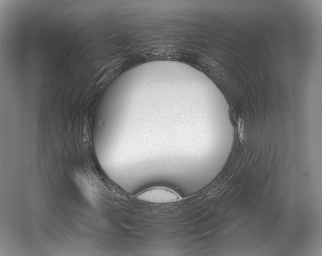 X0000062131107200512090943