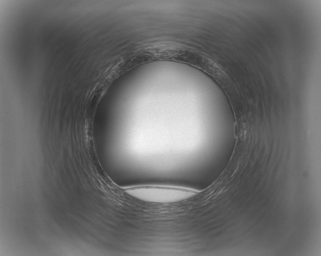 X0000062131108200512090943