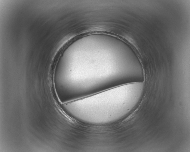X0000062131119200512090943