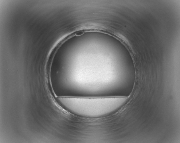 X0000062131120200512090943