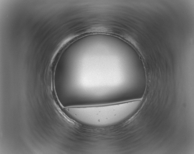 X0000062131123200512090944