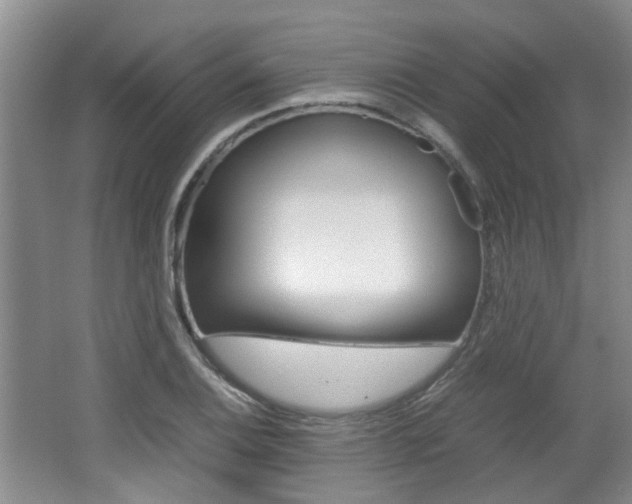 X0000062131124200512090944