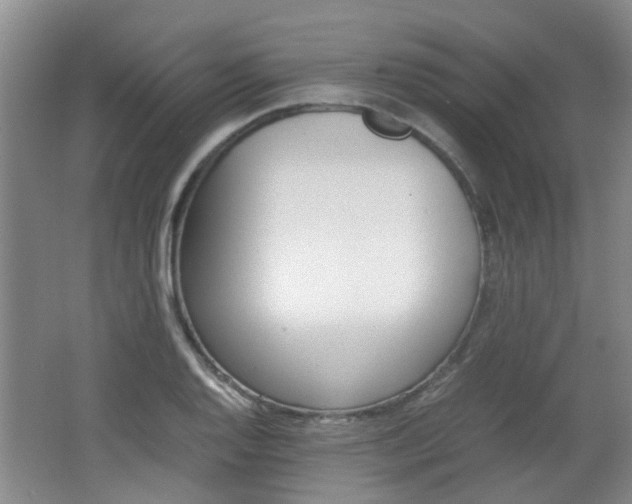 X0000062131128200512090944