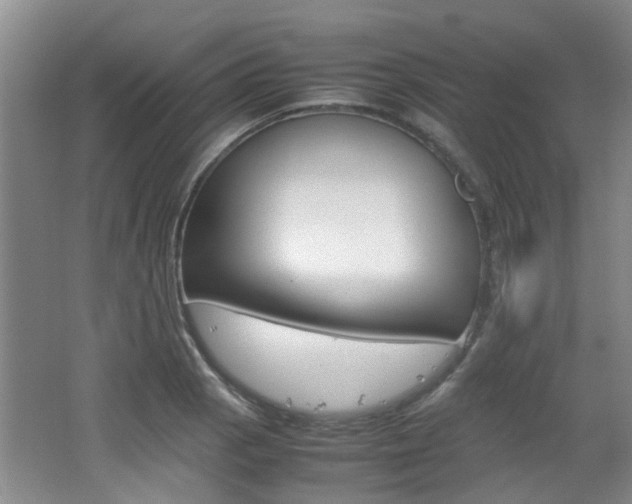 X0000062131129200512090944
