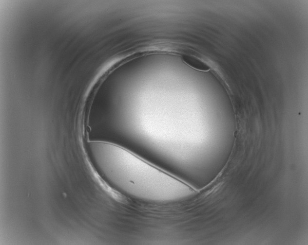 X0000062131131200512090944