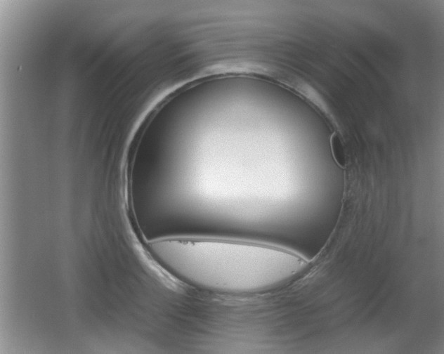 X0000062131132200512090944