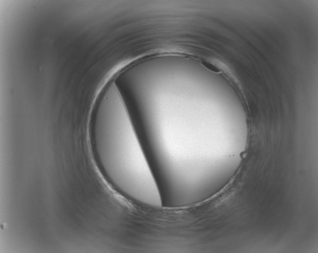X0000062131133200512090944