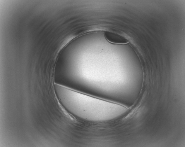 X0000062131137200512090944