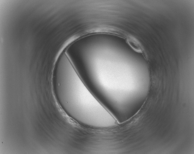 X0000062131138200512090944