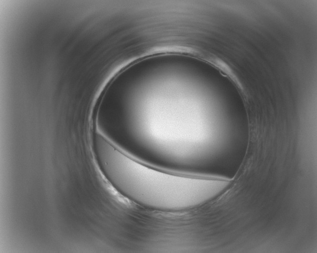 X0000062131140200512090944