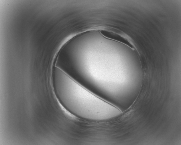 X0000062131143200512090944