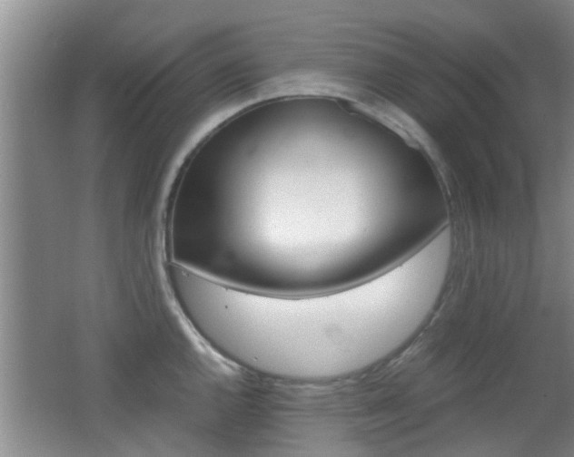 X0000062131144200512090944