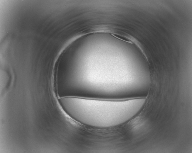 X0000062131147200512090944