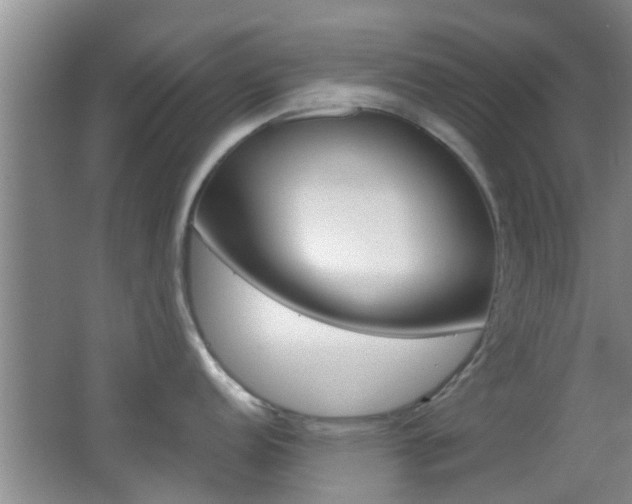 X0000062131152200512090944