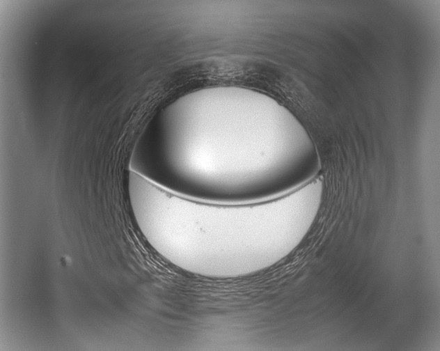 X0000062131153200512090943