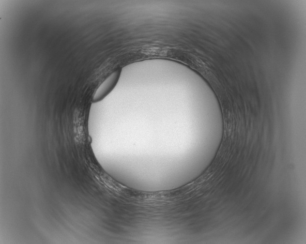 X0000062131154200512090943