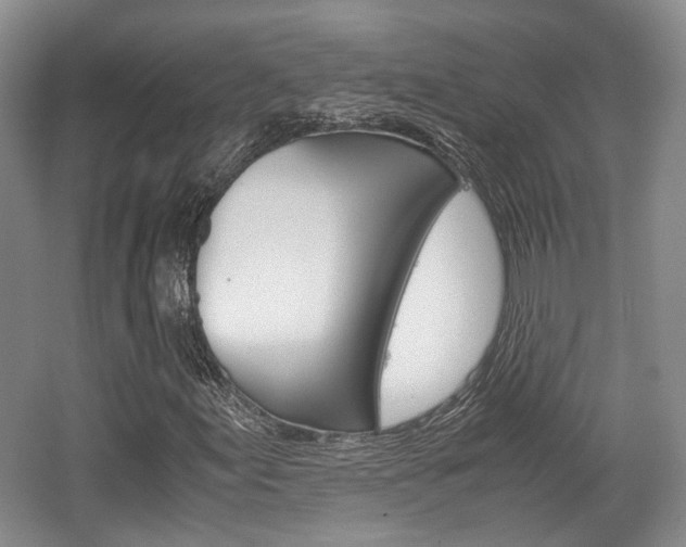 X0000062131155200512090943