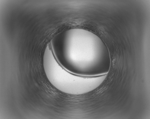 X0000062131156200512090943