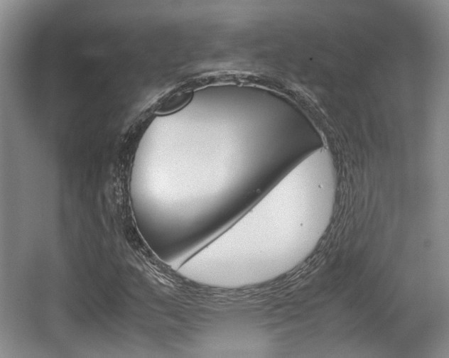 X0000062131159200512090943