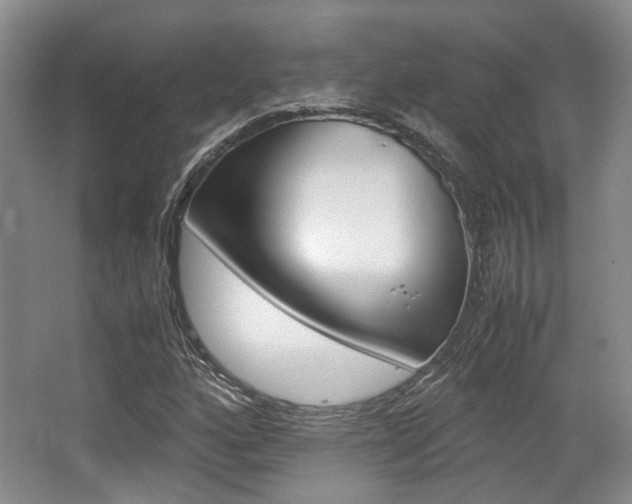 X0000062131160200512090943