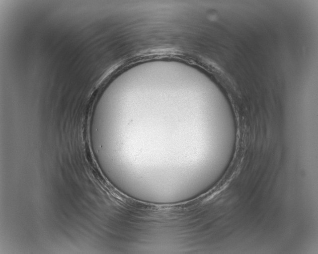 X0000062131162200512090943