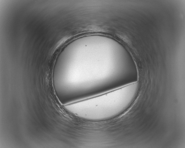 X0000062131163200512090943