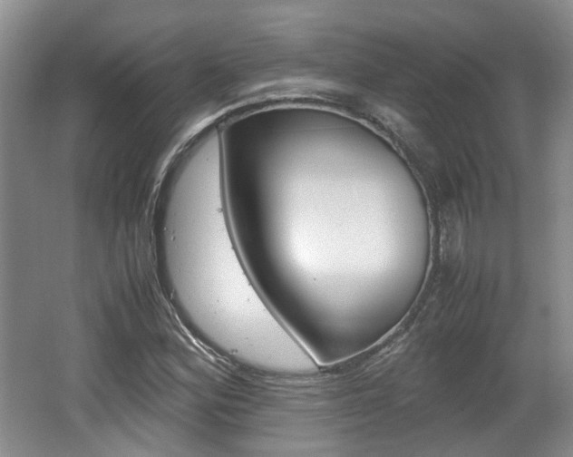 X0000062131164200512090943