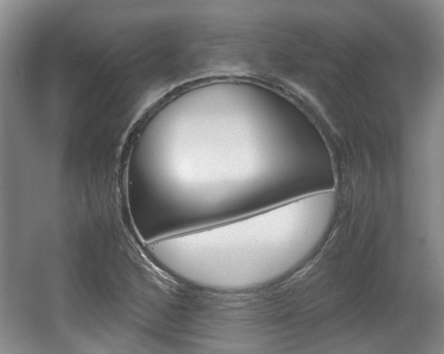 X0000062131168200512090943
