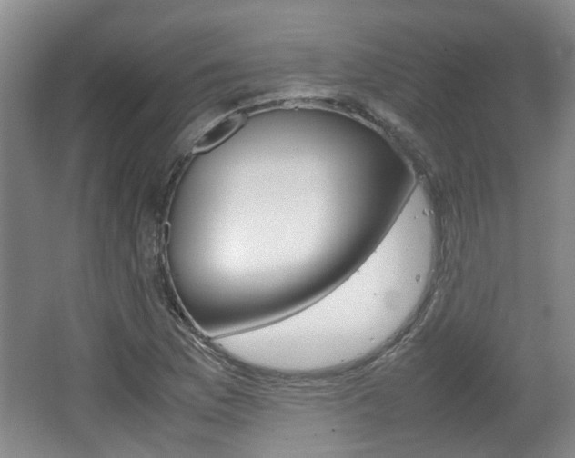 X0000062131169200512090943