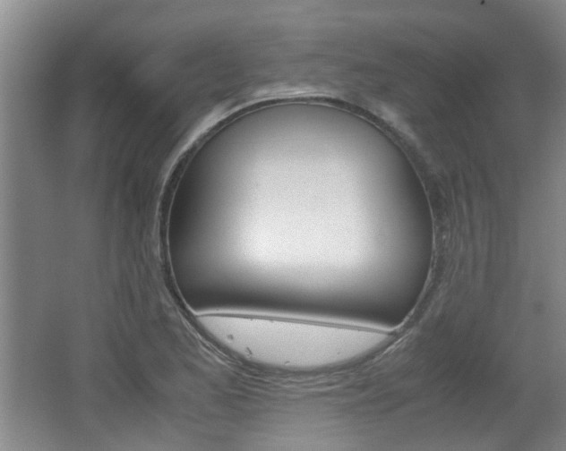 X0000062131173200512090943