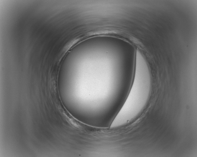 X0000062131177200512090943