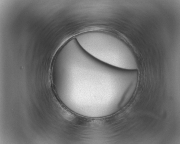 X0000062131178200512090943