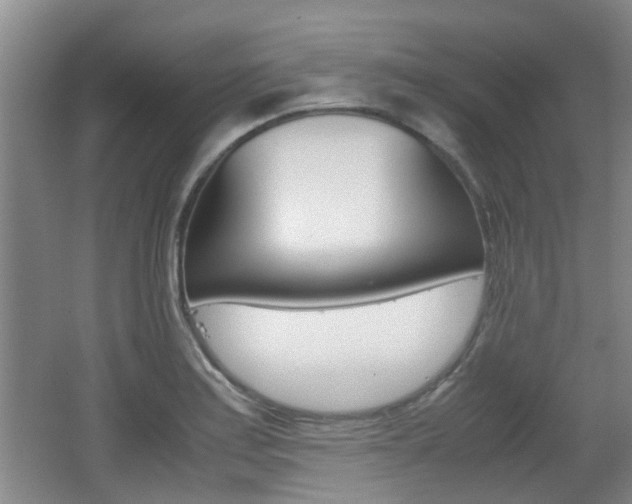 X0000062131179200512090943