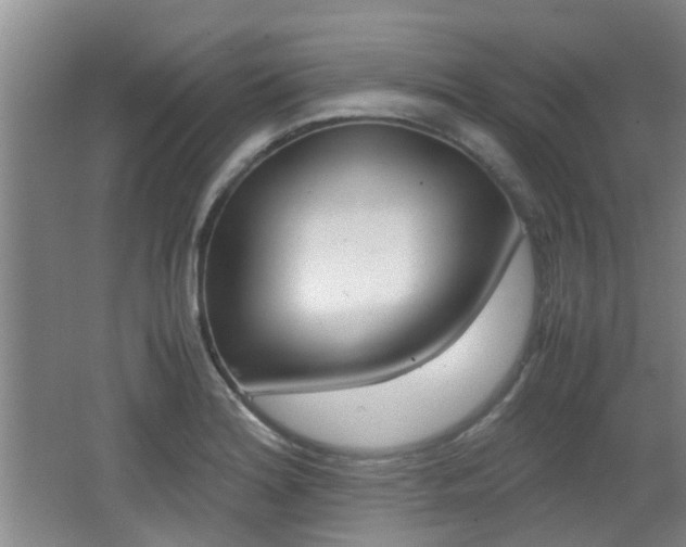 X0000062131180200512090943
