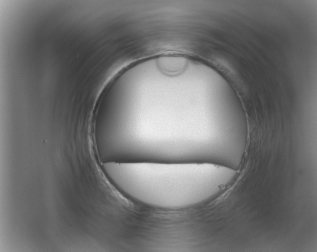 X0000062131182200512090943