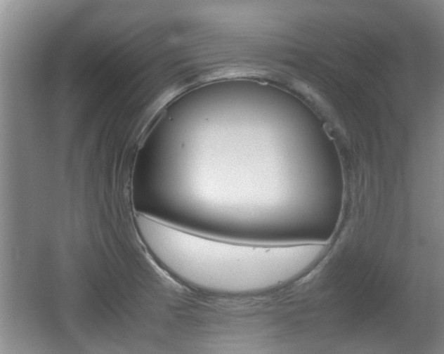 X0000062131185200512090943