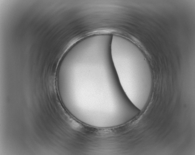 X0000062131186200512090943