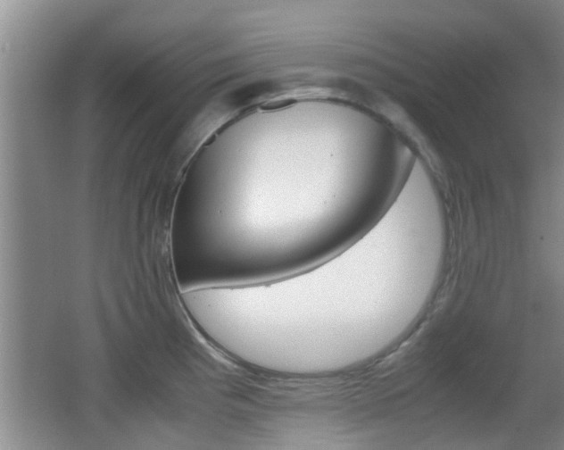 X0000062131193200512090943